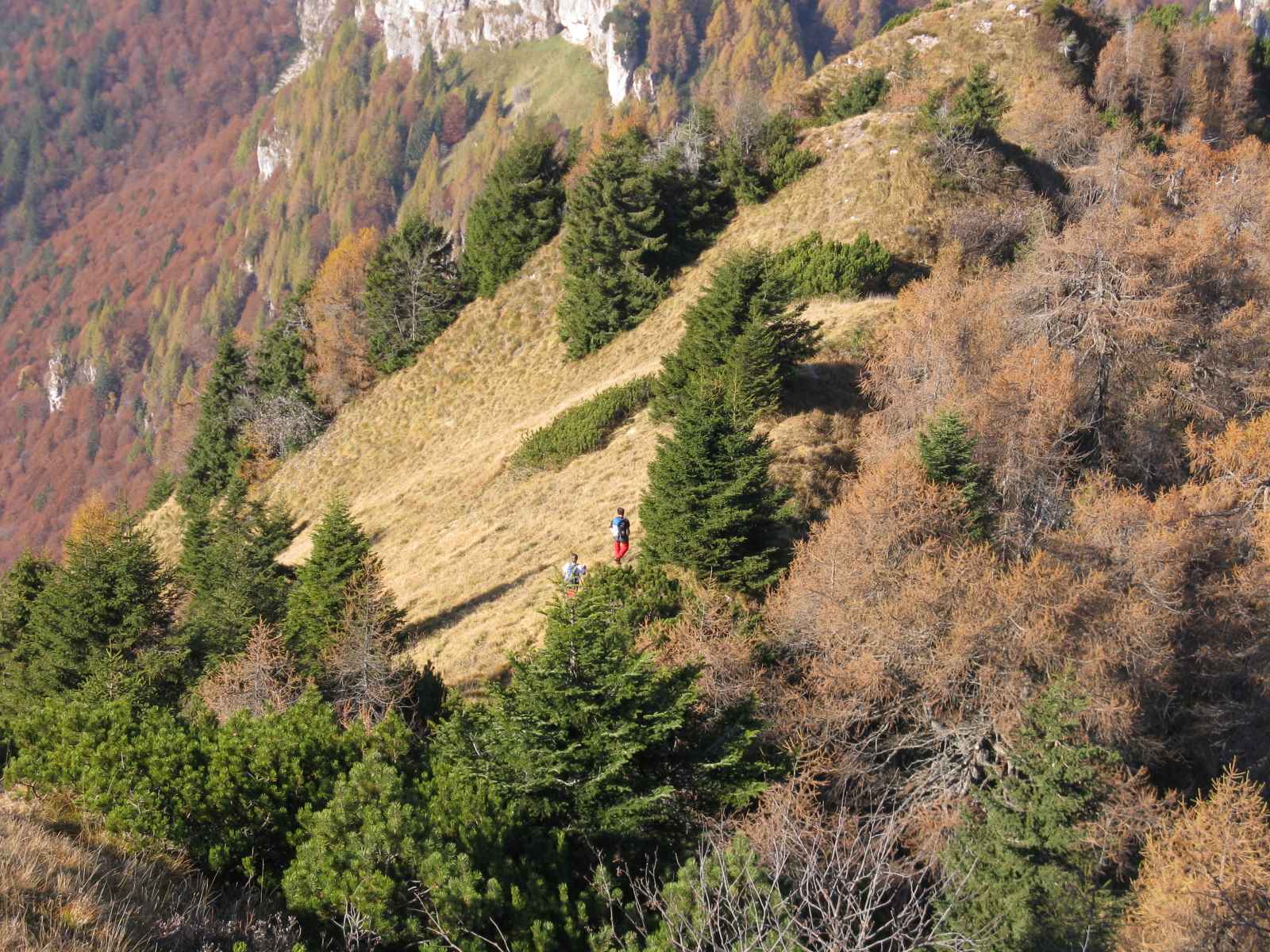 Cimon de Cajada: sulle tracce dei camosci.